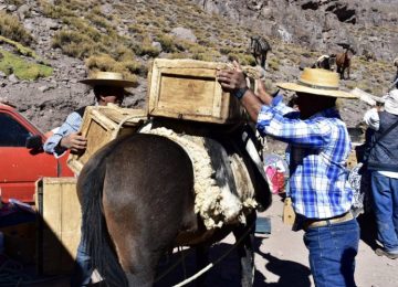 Avanzan preparativos de las Veranadas 2024-2025: solicitan a Subsecretaría de Agricultura mediar en el pago de peaje